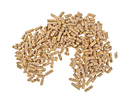 生(shēng)态基地(dì)标題五