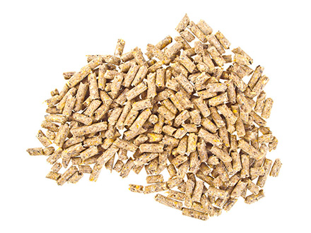 生(shēng)态基地(dì)标題一(yī)