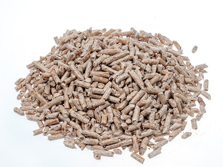 生(shēng)态基地(dì)标題四