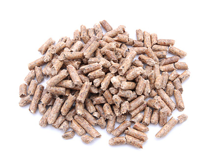 生(shēng)态基地(dì)标題六